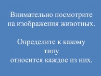 Презентация к опросу по теме Беспозвоночные животные 5 класс