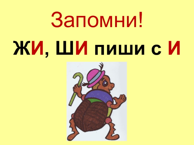 Песня жи ши. Сочетания жи ши. Правило жи ши. Запомни жи ши. Рисунок на тему жи ши.