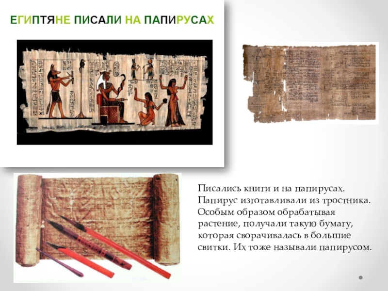 Растение на котором писали первые книги. Книги из папируса в древнем Египте. Папирусный свиток в древнем Египте. Древние книги на папирусе. Древние книги из папируса.