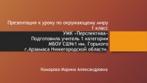 Презентация по окружающему миру на тему Родная страна (1 класс)