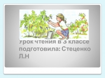 Презентация по литературному чтению на тему Смородинка (3 класс)