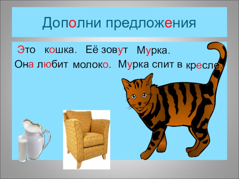 Кошка предложение. Кошку зовут Мурка. Предложение про кошку. Кошка которую зовут Мурка. У нас есть кошка ее зовут Мурка.