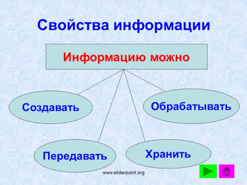 Презентация по информатике на тему свойства информации