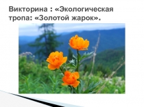 Викторина для проведения занятия по внеурочной работе.