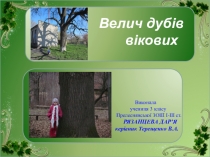 Презентація творчого проекту Велия дубів вікових