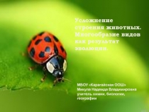 Презентация по биологии на тему: Усложнение строения животных (7 класс)