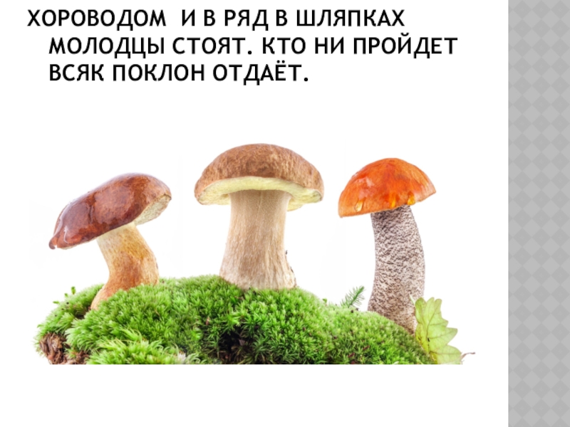 Ни всякому