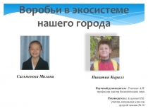 Проект на тему: Воробьи в экосистеме Астаны