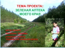 Научный проект учащегося Зеленая аптека моего края