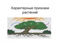 Презентация по биологии на тему Характерные признаки растений 6 класс