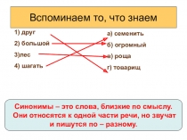 Презентация по русскому языку на тему Антонимы