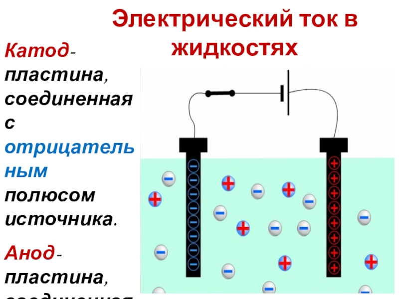 Электрический ток в жидкостяхКатод- пластина, соединенная с отрицательным полюсом источника.Анод- пластина, соединенная с положительным полюсом источника.