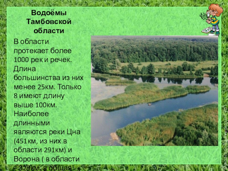 Доклад наш край. Презентация реки в Тамбовской области. Сообщение о реках Тамбовской области. Презентация по окружающему миру 