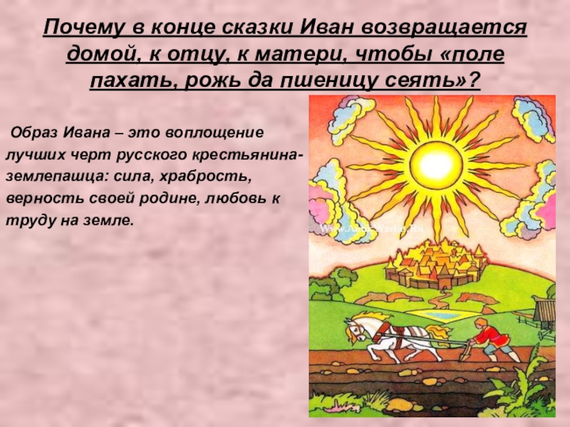 Почему в конце сказки Иван возвращается домой, к отцу, к матери, чтобы «поле пахать, рожь да пшеницу