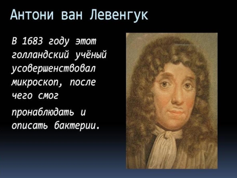 Антони ван левенгук. Антони Ван Левенгук описал бактерии.