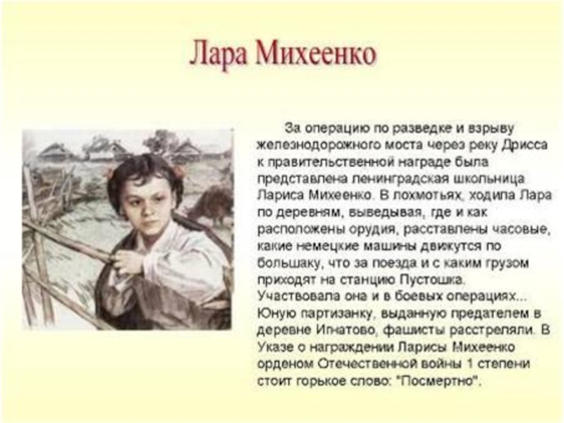 Лара михеенко презентация