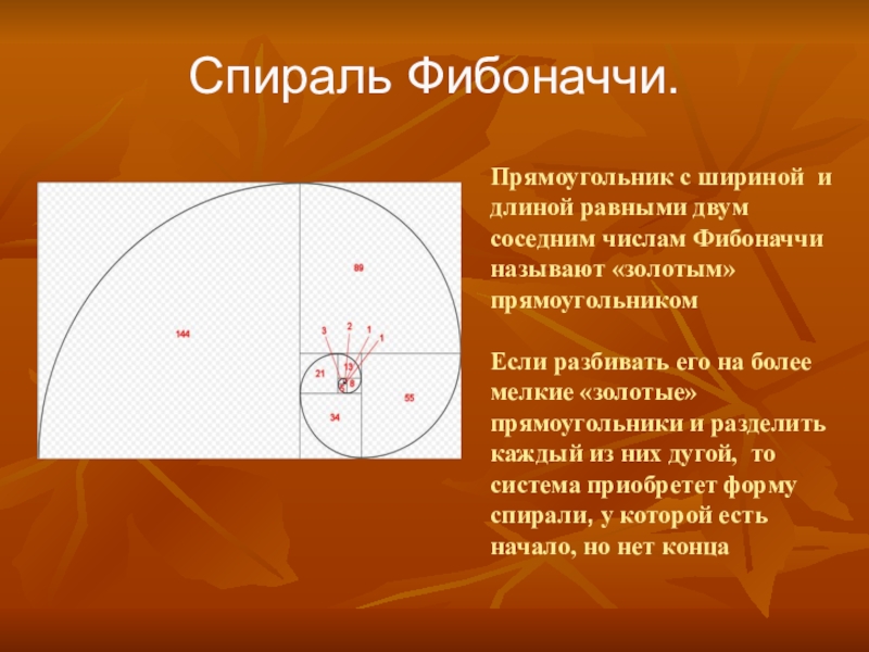 Презентация про числа фибоначчи