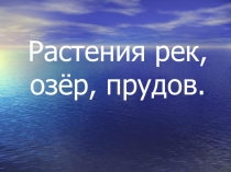 Презентация по окружающему миру по теме Растения рек, озёр, прудов