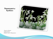 Презентация по ознакомлению с миром природы