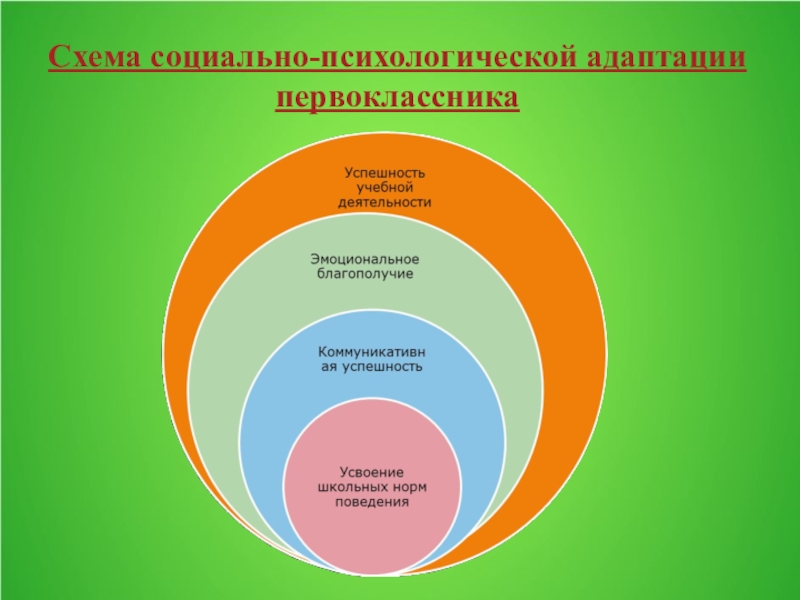 Схема экспертной оценки социально психологической адаптации детей к школе