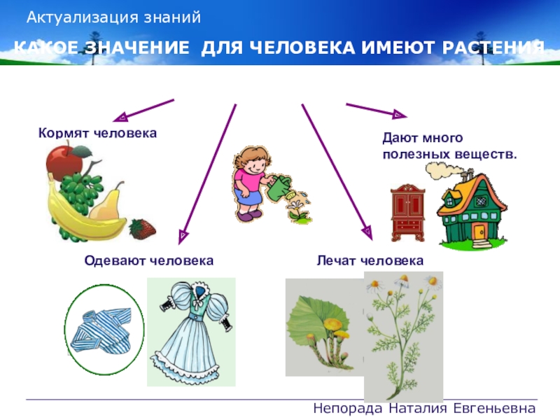 Какое значение имеют растения для всего живого