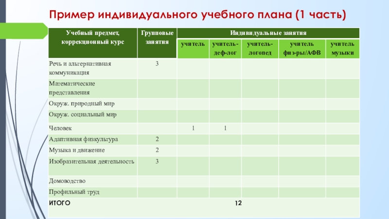 Форма индивидуального учебного плана