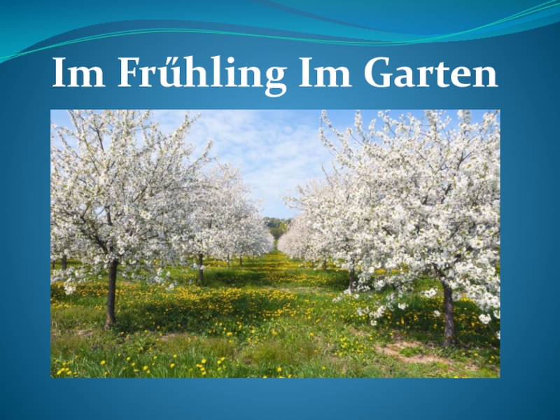 Презентация Презентация к уроку немецкого языка Весной в саду,3 класс