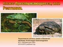 Презентация по биологии Рептилии (7 класс)