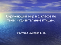 Презентация к уроку окружающего мира в 1 классе на тему: Удивительные птицы