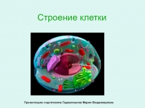 Строение клетки