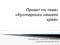 Презентация по окружающему миру Кустарники нашего края