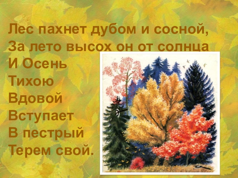 Сочинение по картине остроухов золотая осень. Лес пахнет дубом и сосной. Золотая осень Остроухов сочинение 2 класс. Пахнет дубом и сосной. Рисунок листопад лес пахнет дубом и сосной.