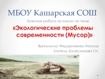 Презентация Федориненко Натальи по химии на тему Экологические проблемы современности