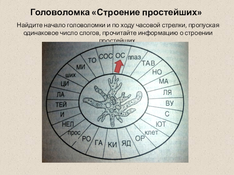 Найди начало. Найти начало головоломки и по ходу часовой стрелки. Найдите начало головоломки и по ходу часовой. Найти начало головоломки двигаясь по часовой стрелке. Пропуская одинаковое количество делений по ходу часовой стрелки.