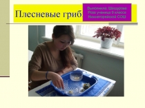 плесневые грибы