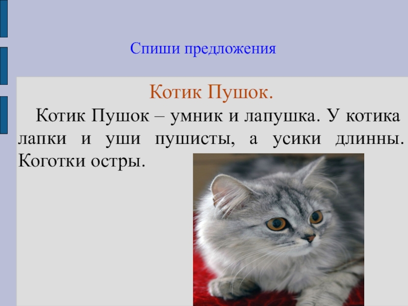 Презентация про кота 1 класс