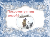Презентация к ууроку Как помочь птицам зимой