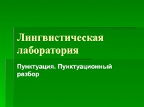 Презентация по русскому языку Пунктуация