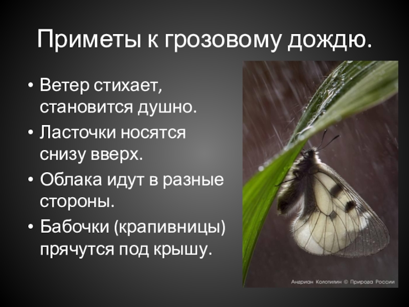 Примета 2. Приметы к дождю. Привет дождь. Какие народные приметы о Дожде. Ливень приметы.