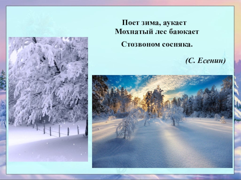 Выписать глаголы из стихотворения поет зима аукает. Есенин зима аукает. Поёт зима аукает мохнатый лес. Поёт зима аукает мохнатый лес баюкает. Стихотворение поёт зима аукает.