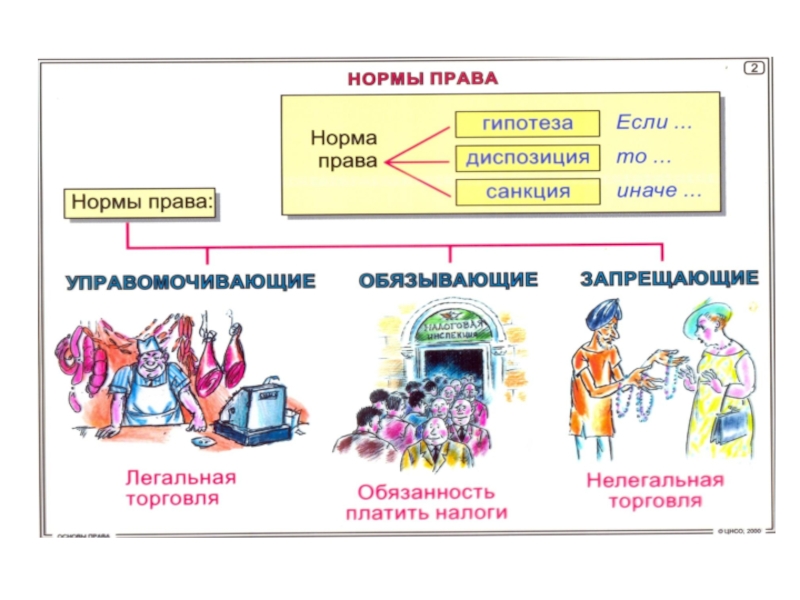 Отрасли права 9 класс обществознание презентация