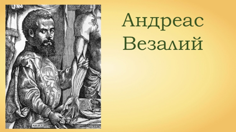 Везалий открытия. Гален и Везалий. Андрей Везалий портрет. Андреас Везалий учёные эпохи Возрождения. Гален и Везалий картина.