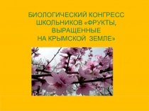 Презентация к конгрессу Фрукты, выращенные на крымской земле