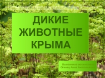 Презентация по ознакомлению с природой на тему Дикие животные Крыма (старшая группа)