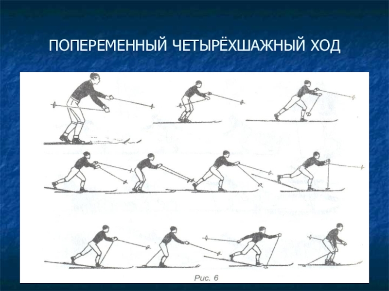 Ход х. Попеременный четырехшажный ход. Попеременный четырехшажный лыжный ход. Попеременный четырехшажный ход техника. Четырехшажный ход на лыжах.