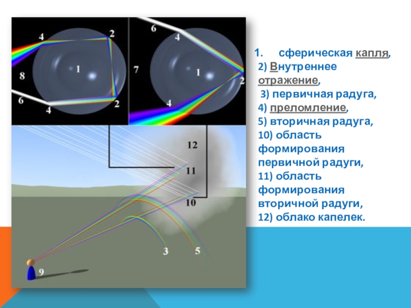сферическая капля, 2) Внутреннее отражение, 3) первичная радуга, 4) преломление, 5) вторичная радуга, 10) область формирования первичной