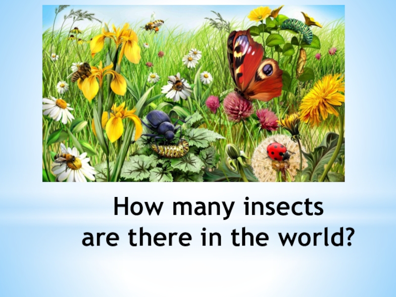 Насекомые гравюра. Living things lp. Цикада этапы развития. Borer. Половые органы пчел.