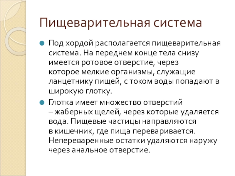 Пищеварительная системаПод хордой располагается пищеварительная система. На переднем конце тела снизу имеется ротовое отверстие, через которое мелкие организмы, служащие ланцетнику пищей,