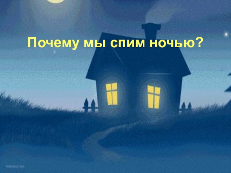 Спи ночь в июле. Зачем мы спим ночью. Почему мы спим. Почему мы ночночью спим. Зачем мы спим ночью рисунок.