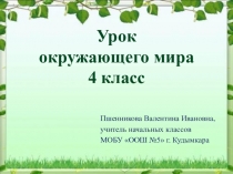Презентация по окружающему миру